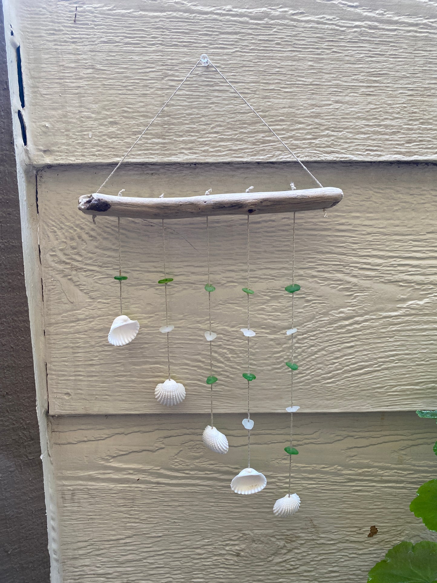 Tilted Shells Wall Hanging