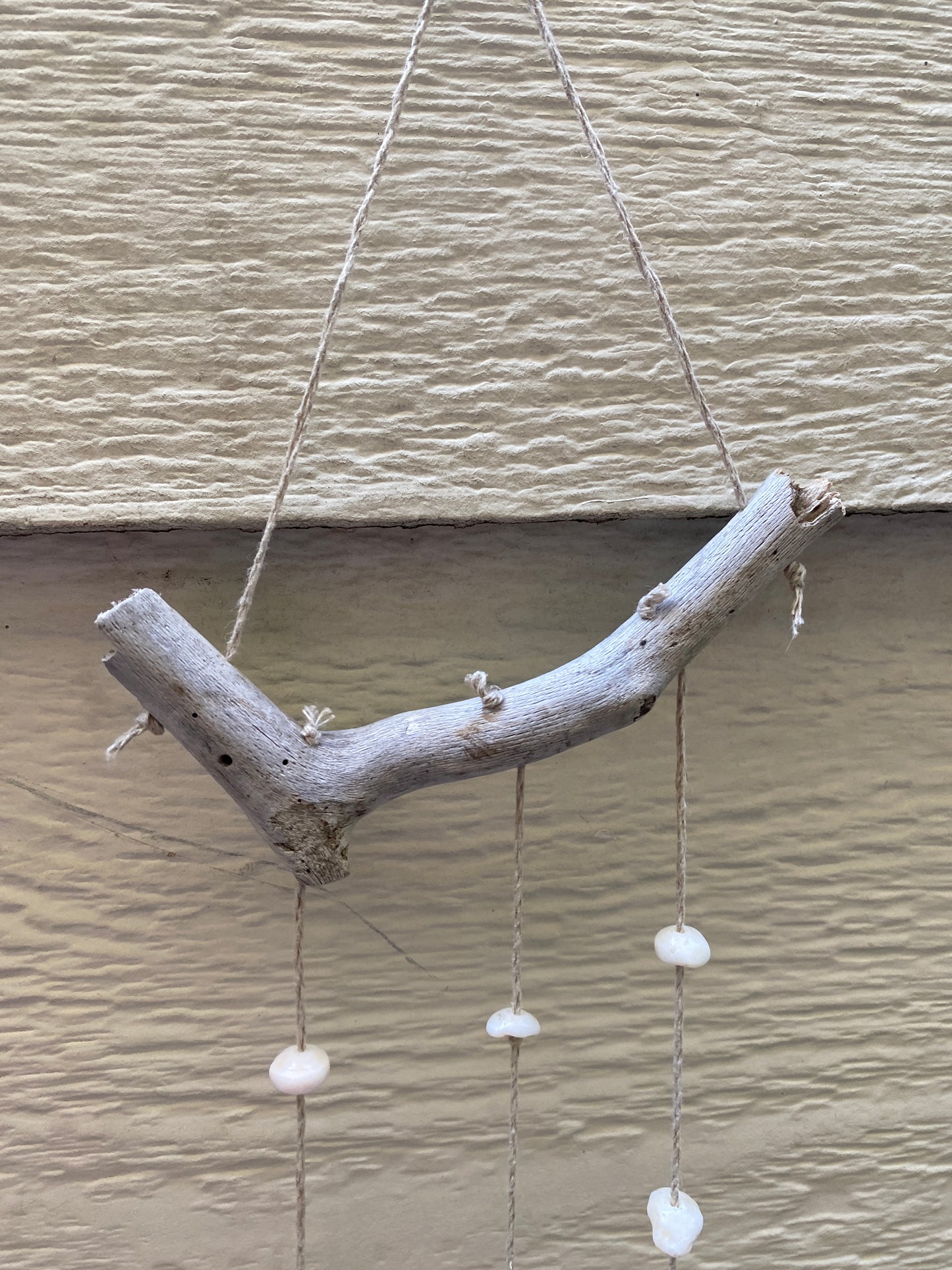 Asymetric Shells Wall Hanging