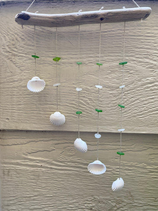 Tilted Shells Wall Hanging