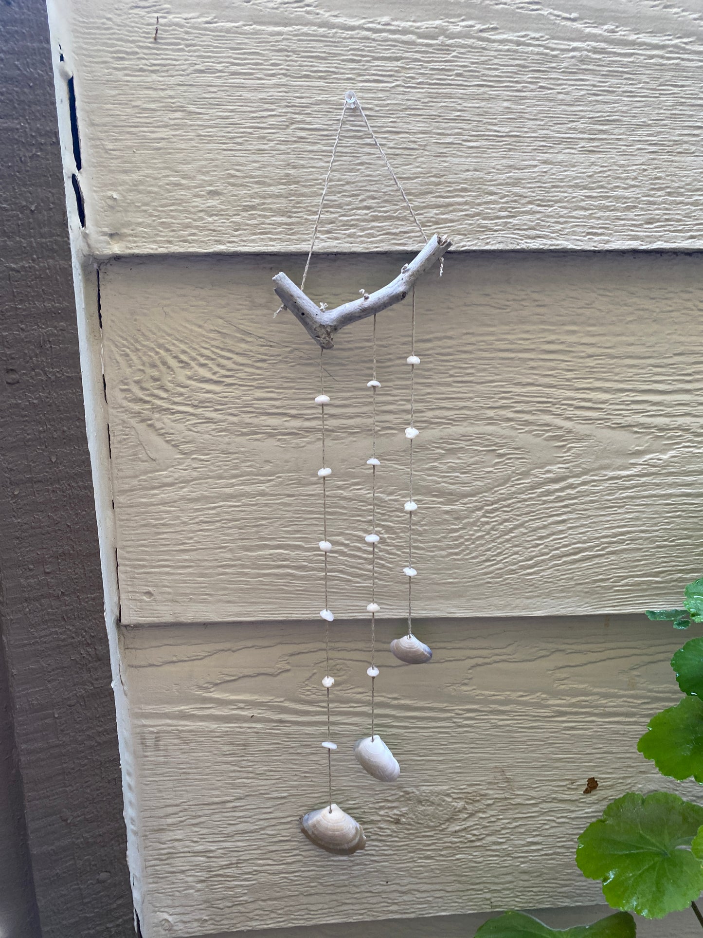 Asymetric Shells Wall Hanging