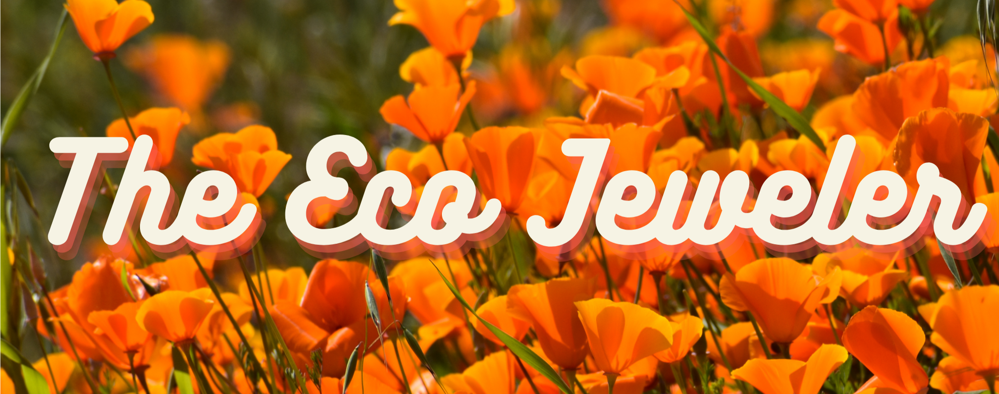 The Eco Jeweler