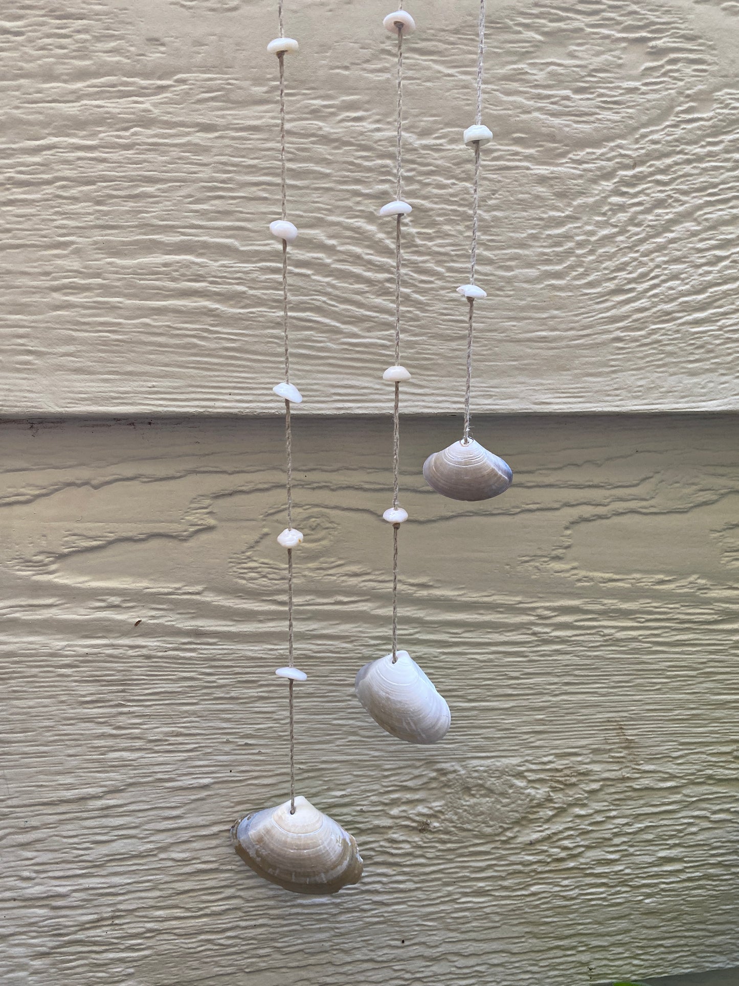 Asymetric Shells Wall Hanging