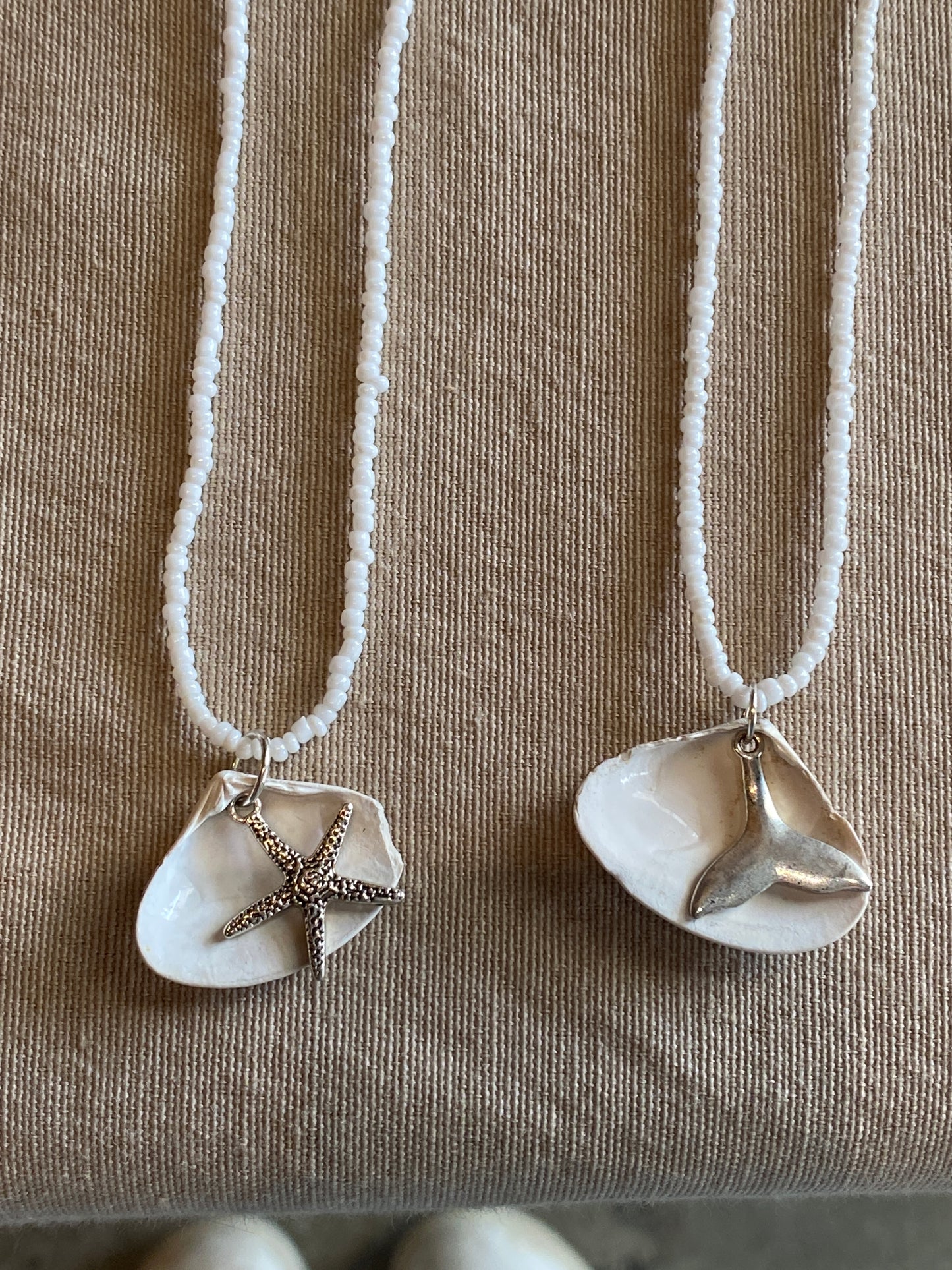 Charmed Shell Necklace