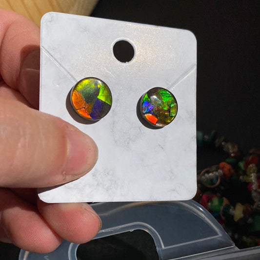 Ammolite earrings