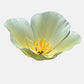 Yellow Poppy Sticker