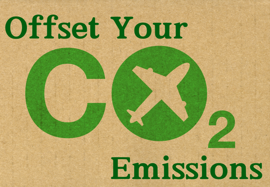 Donate to support carbon removal technologies