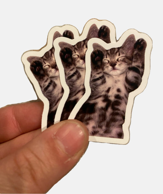 Kitten Belly Sticker