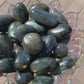 Labradorite Palmstones