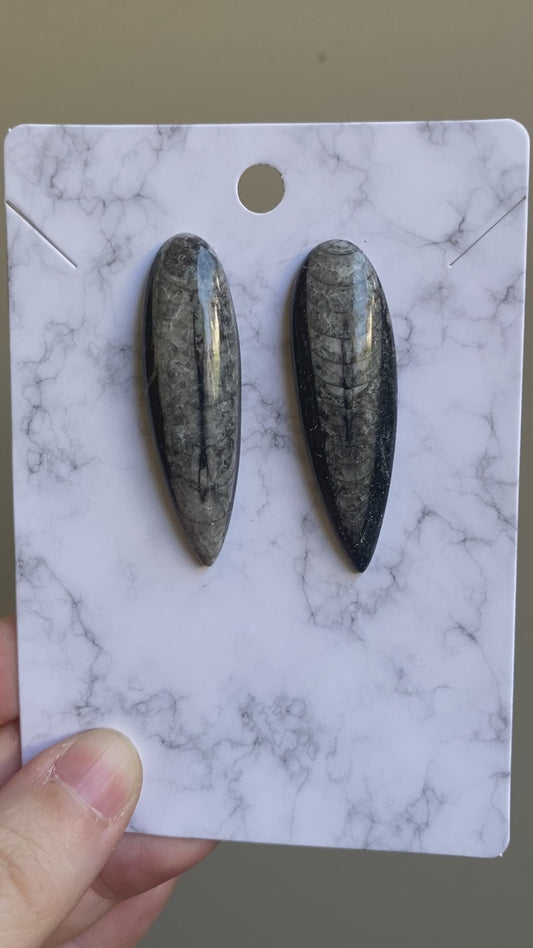 Orthoceras Earrings