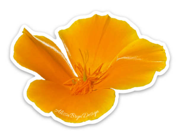 ABD Poppy Sticker