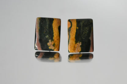 Jasper Earrings